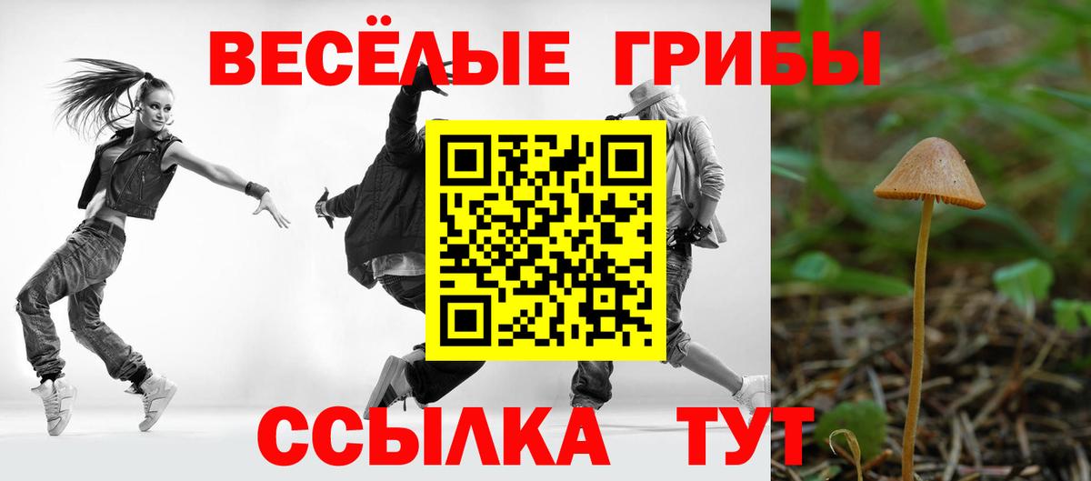 наркошоп  Вход с VPN  Десногорск  Галлюциногенные грибы прущие грибы 